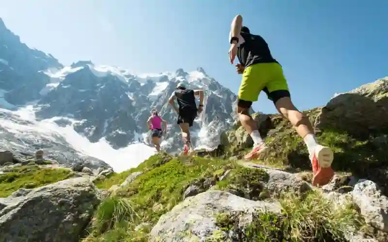 Road Runner Sports