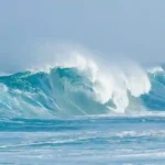 Tropical Wave News