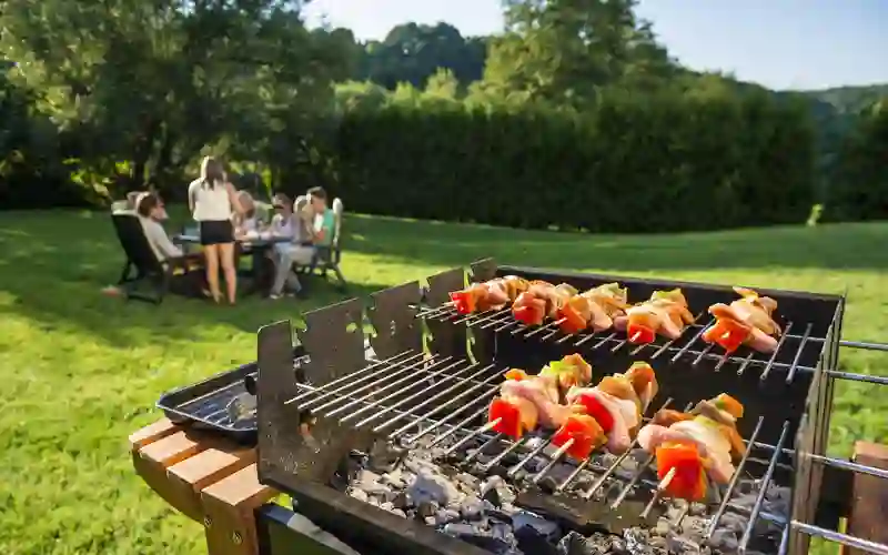 How To Organize The Ideal Picnic