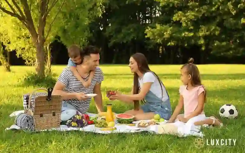 Picnic Food