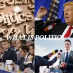 What is Politics