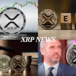 XRP News 2025