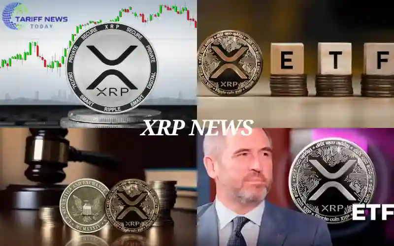 XRP News 2025