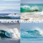 Tropical Wave News