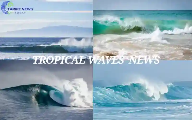 Tropical Wave News