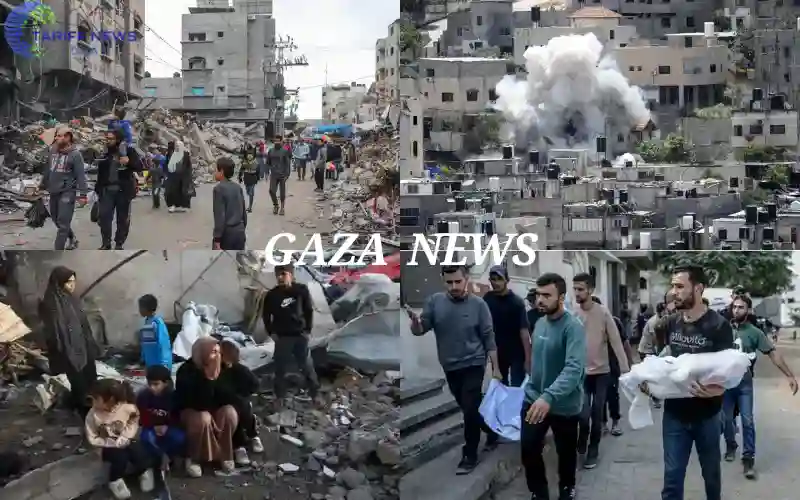 Gaza News